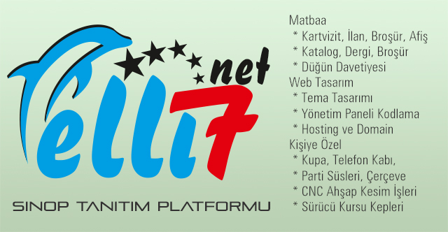 Elli7 Net